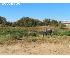 Solar en Venta en Sanlúcar de Barrameda, Cádiz