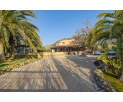Finca rustica en Venta en Alcalalí, Alicante