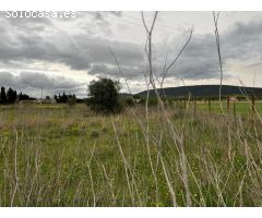 TERRENO RÚSTICO EN SANTA MARÍA DEL CAMÍ