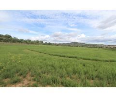 Terreno en Sant joan