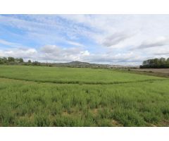 Terreno en Sant joan