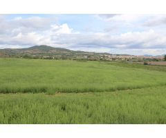 Terreno en Sant joan