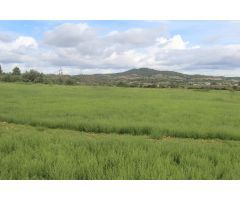 Terreno en Sant joan