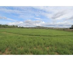 Terreno en Sant joan