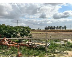¡¡6 HECTÁREAS DE TERRENO CON 3 CASAS, NAVES, Y TRASTEROS!!