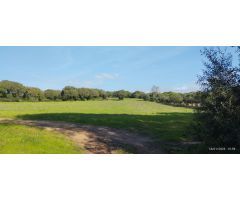 Terreno junto a campo de golf de Monteenmedio