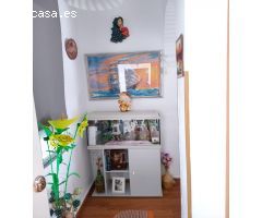Piso con mucha luz natural