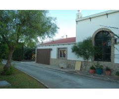 FINCA DE VIÑEDOS