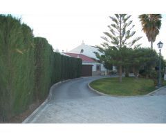 FINCA DE VIÑEDOS