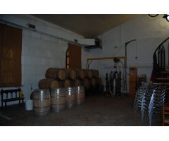 FINCA DE VIÑEDOS