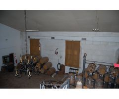 FINCA DE VIÑEDOS