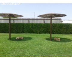 CHALET EN CAULINA DE UNA SOLA PLANTA