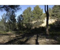 Solar urbano en Venta en Sant Pere de Ribes, Barcelona