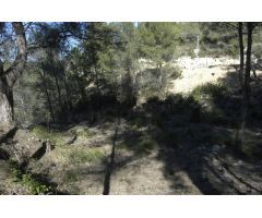 Solar urbano en Venta en Sant Pere de Ribes, Barcelona