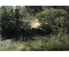 Solar urbano en Venta en Sant Pere de Ribes, Barcelona