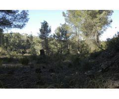 Solar urbano en Venta en Sant Pere de Ribes, Barcelona