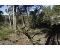 Solar urbano en Venta en Sant Pere de Ribes, Barcelona