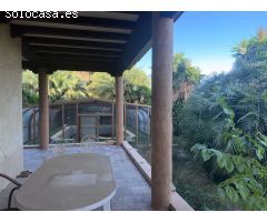 Mansion Rústica de 400m2 en Venta en Catral: Una Gran Propiedad Llena de Potencial