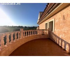 Mansion Rústica de 400m2 en Venta en Catral: Una Gran Propiedad Llena de Potencial