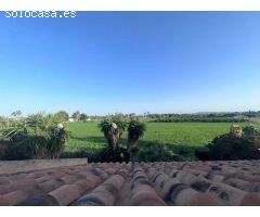 Mansion Rústica de 400m2 en Venta en Catral: Una Gran Propiedad Llena de Potencial