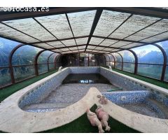 Mansion Rústica de 400m2 en Venta en Catral: Una Gran Propiedad Llena de Potencial