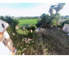 Mansion Rústica de 400m2 en Venta en Catral: Una Gran Propiedad Llena de Potencial