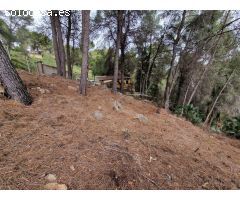 Parcela en Venta en Carcagente, Valencia