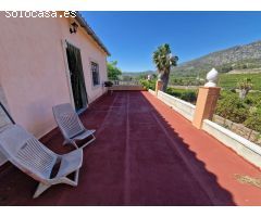 Finca rustica en Venta en Alzira, Valencia