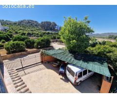 Finca rustica en Venta en Alzira, Valencia