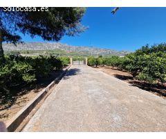 Finca rustica en Venta en Alzira, Valencia