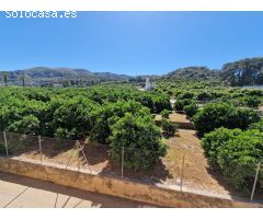 Finca rustica en Venta en Alzira, Valencia