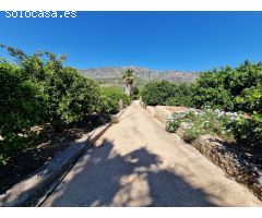 Finca rustica en Venta en Alzira, Valencia