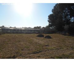OPORTUNIDAD DE PARCELA EN SANLUCAR DE BARRAMEDA