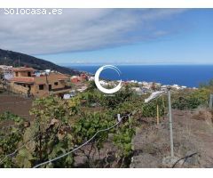 Finca rustica en Venta en Icod de los Vinos, Santa Cruz de Tenerife