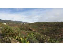 Finca rustica en Venta en Granadilla de Abona, Santa Cruz de Tenerife