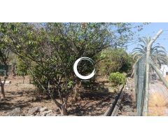 Finca rustica en Venta en Icod de los Vinos, Santa Cruz de Tenerife