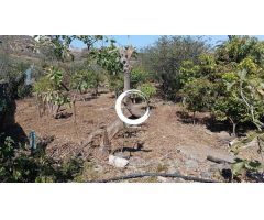 Finca rustica en Venta en Icod de los Vinos, Santa Cruz de Tenerife