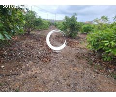 Finca rustica en Venta en Buenavista del Norte, Santa Cruz de Tenerife