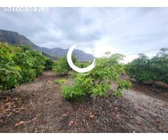 Finca rustica en Venta en Buenavista del Norte, Santa Cruz de Tenerife