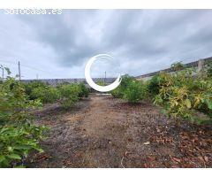 Finca rustica en Venta en Buenavista del Norte, Santa Cruz de Tenerife