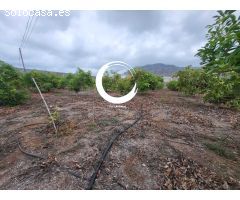 Finca rustica en Venta en Buenavista del Norte, Santa Cruz de Tenerife
