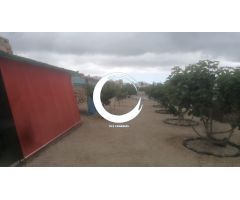 Finca rustica en Venta en San Miguel de Abona, Santa Cruz de Tenerife