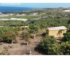 Finca rustica en Venta en Buenavista del Norte, Santa Cruz de Tenerife