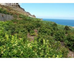 Finca rustica en Venta en Buenavista del Norte, Santa Cruz de Tenerife