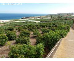 Finca rustica en Venta en Buenavista del Norte, Santa Cruz de Tenerife