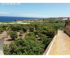 Finca rustica en Venta en Buenavista del Norte, Santa Cruz de Tenerife