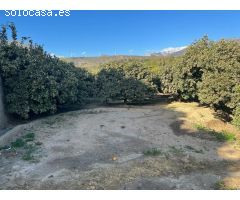 Finca de recreo en el Valle de Lecrin