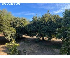 Finca de recreo en el Valle de Lecrin