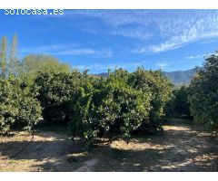Finca de recreo en el Valle de Lecrin