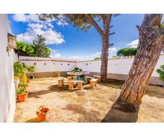 OPORTUNIDAD! gran parcela con chalet en las Veguetas